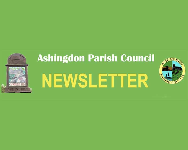 newsletter cover